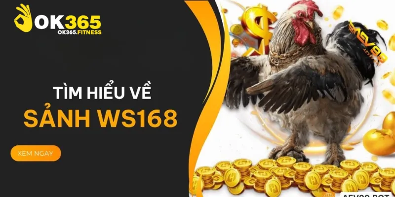 Đá Gà Ws168 – Sân Chơi Cá Cược Chọi Gà Hàng Đầu Châu Á